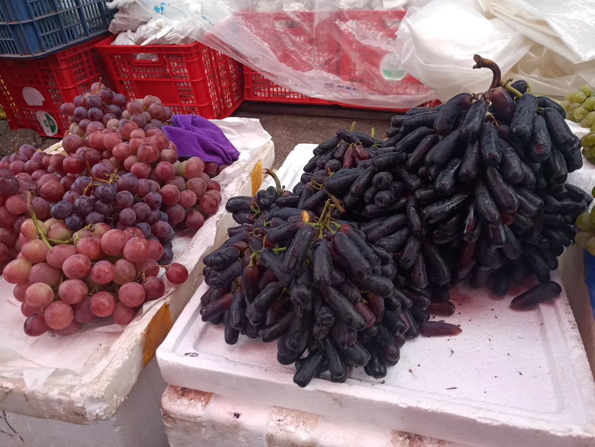 Rose Honey grapes harvested near Mile